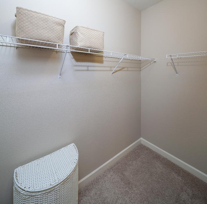 Cortland University City Image