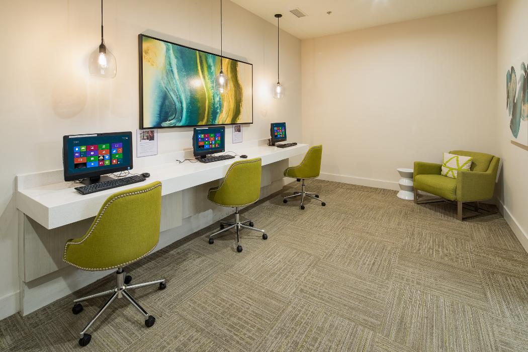 Cortland University City Image