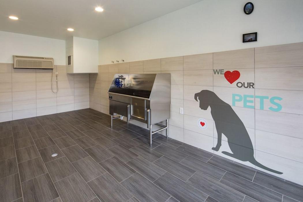 Cortland University City Image