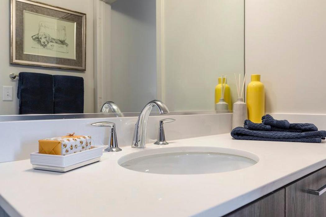 Cortland Columbia Pike Image