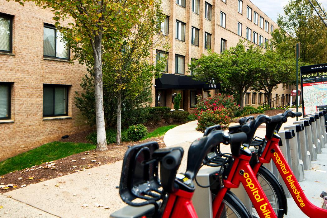 Cortland on Adams Image