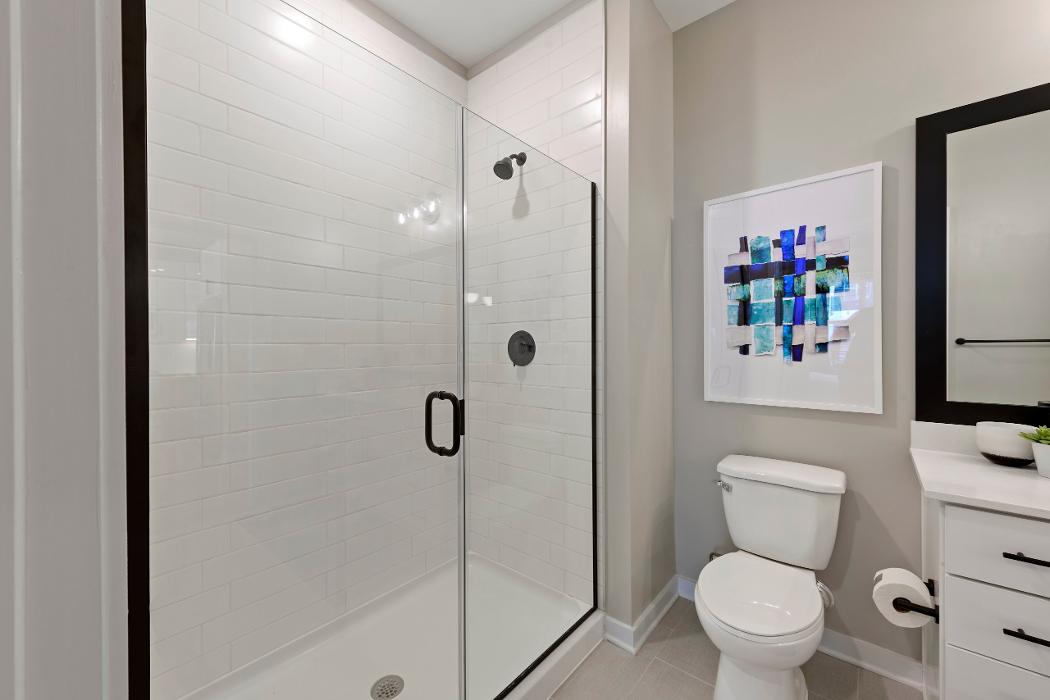 Cortland Bull City Image