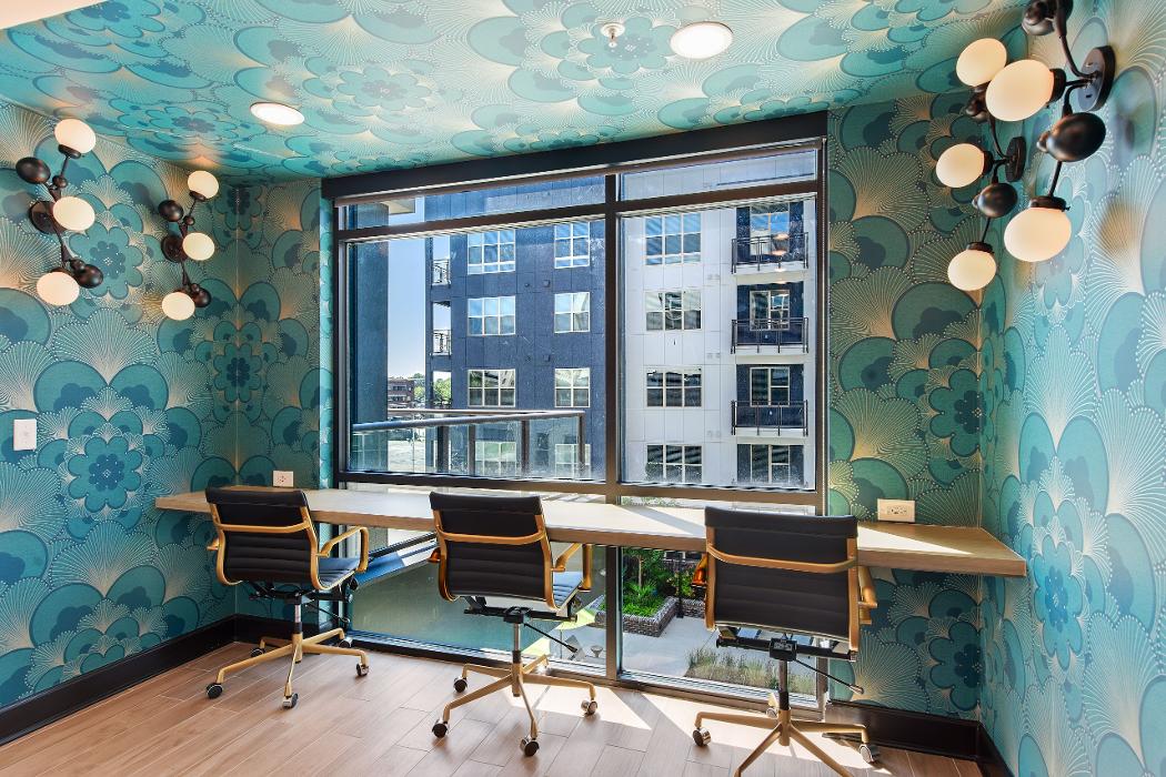 Cortland Bull City Image