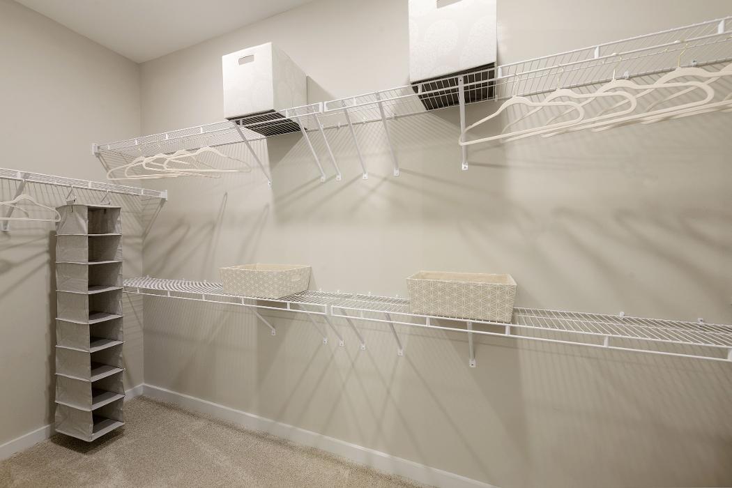 Cortland Bull City Image