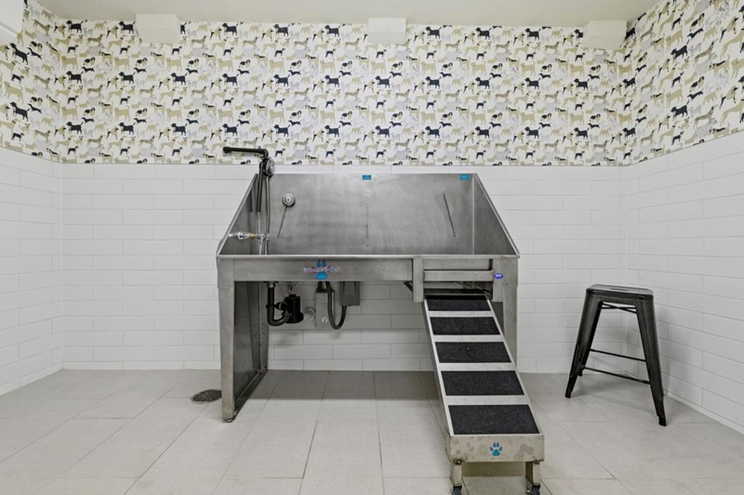 Cortland Bull City Image