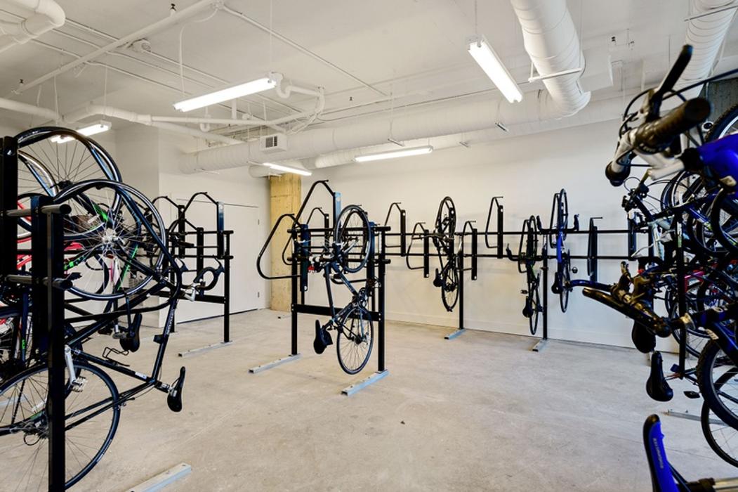 Cortland Bull City Image