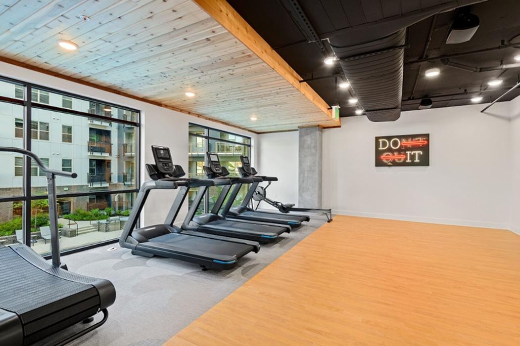 Cortland Bull City Image