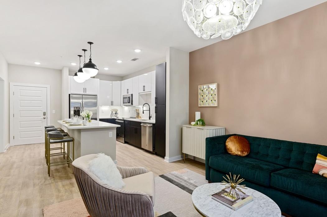 Cortland Bull City Image