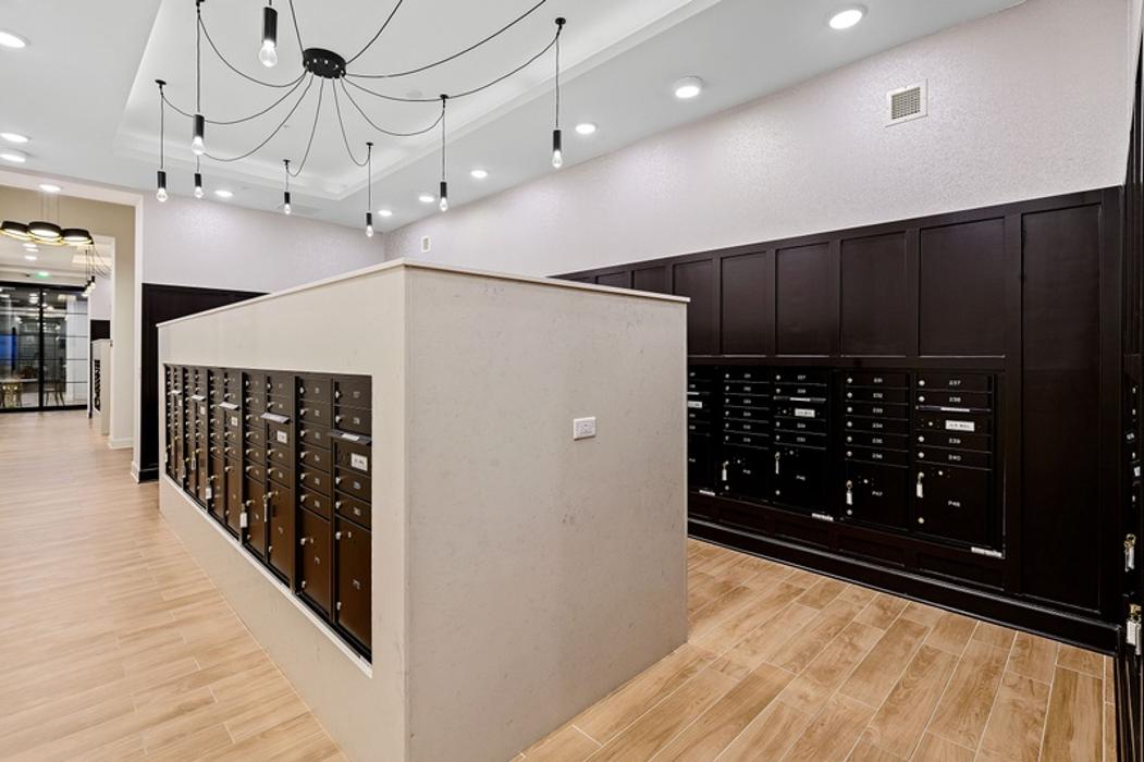 Cortland Bull City Image