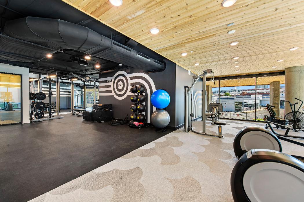 Cortland Bull City Image