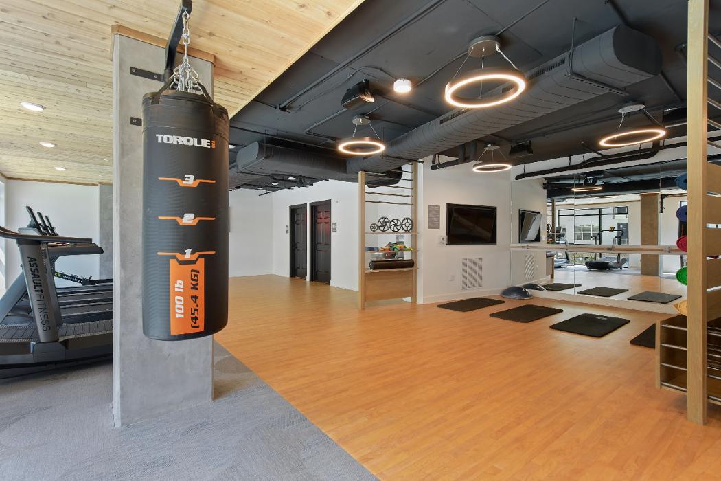 Cortland Bull City Image