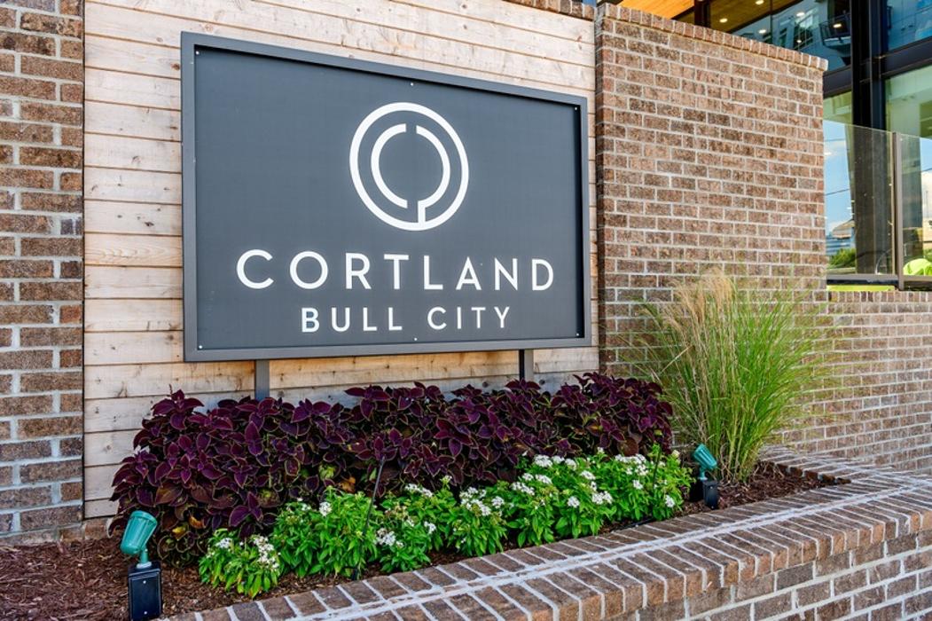 Cortland Bull City Image