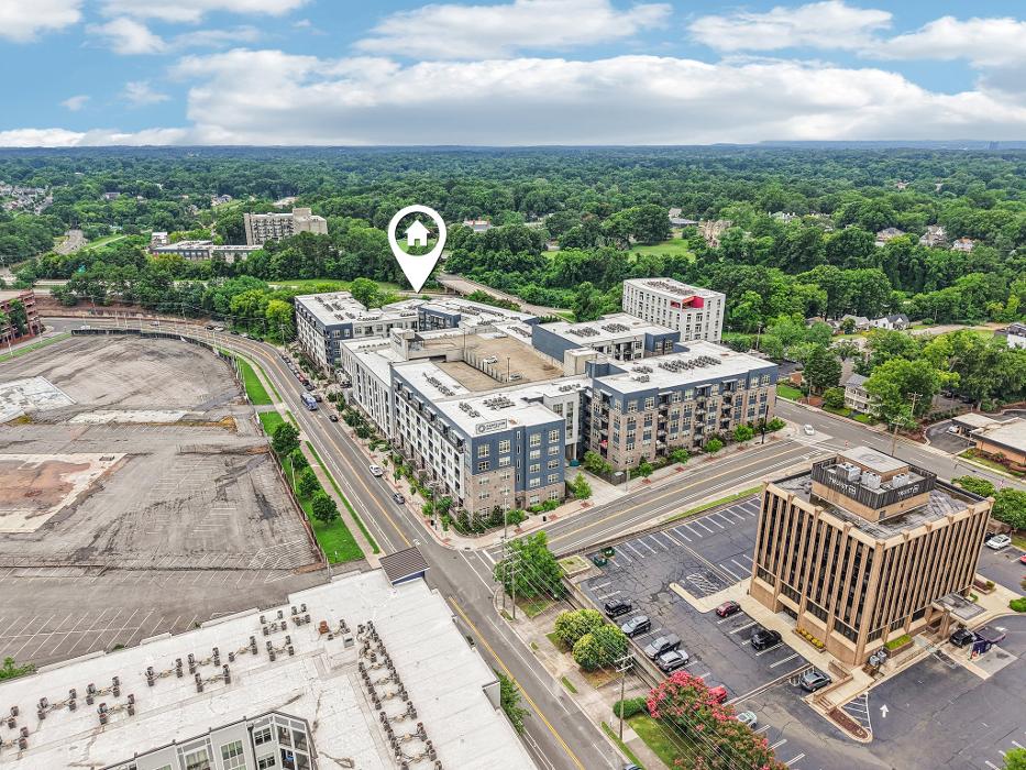 Cortland Bull City Image