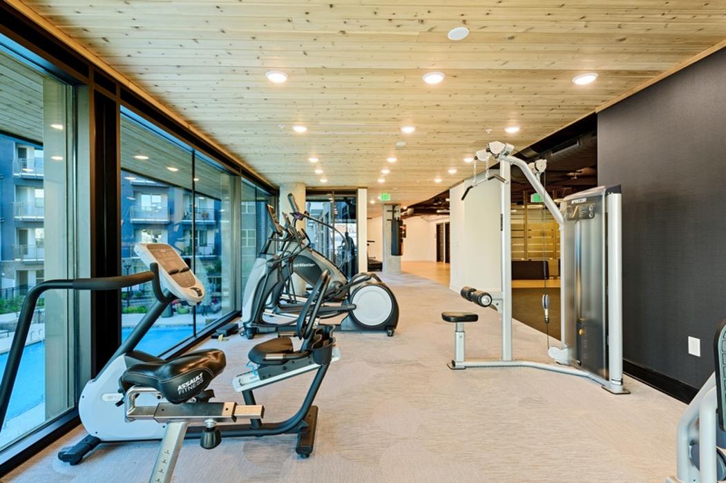 Cortland Bull City Image