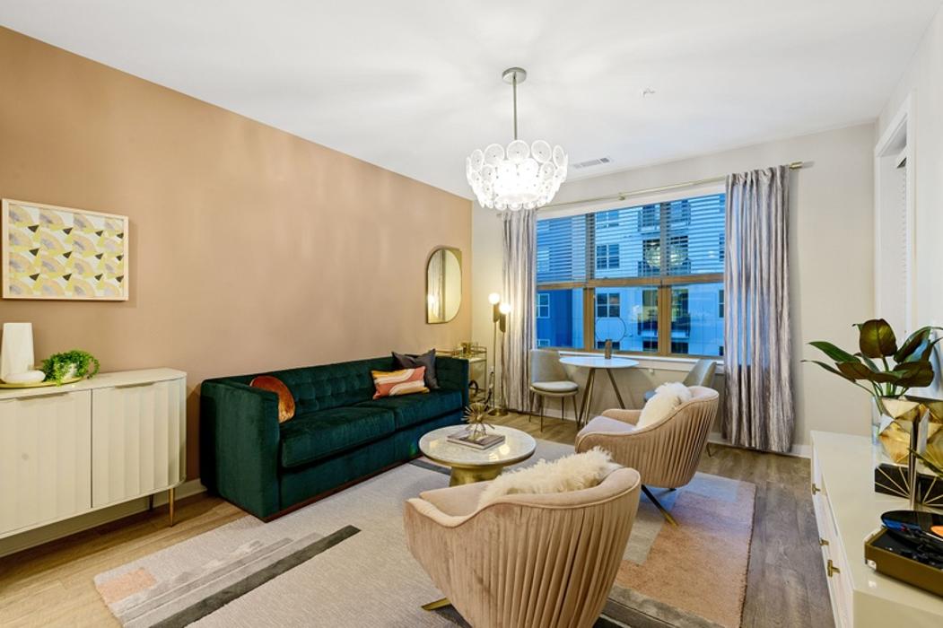 Cortland Bull City Image