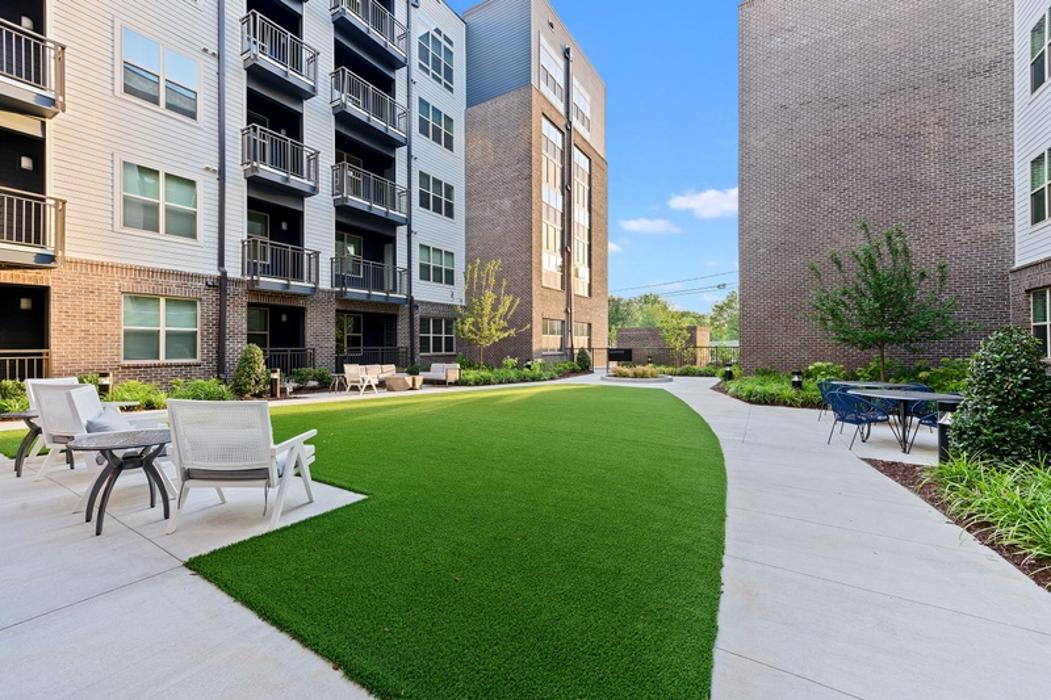 Cortland Bull City Image