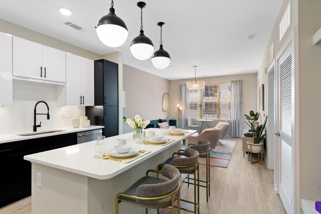 Cortland Bull City Image