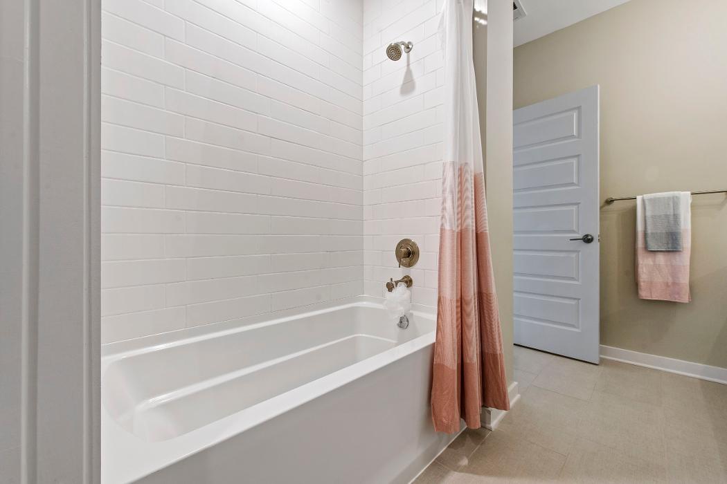 Cortland Bull City Image