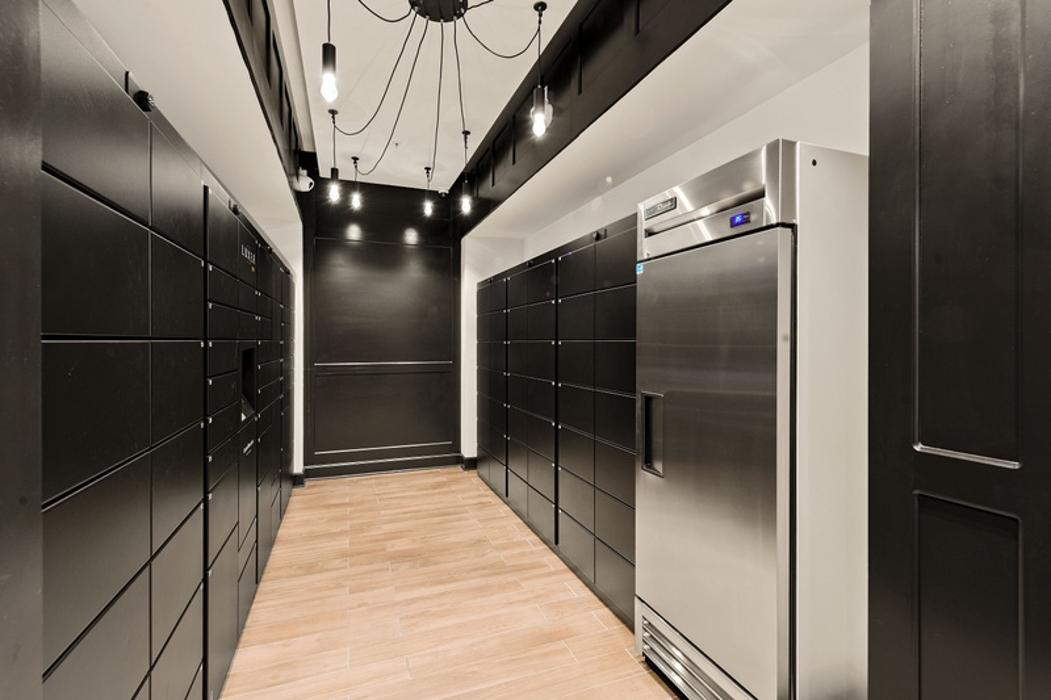 Cortland Bull City Image