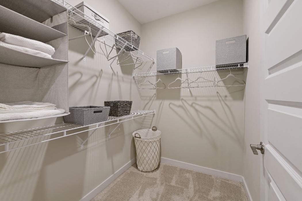 Cortland Bull City Image