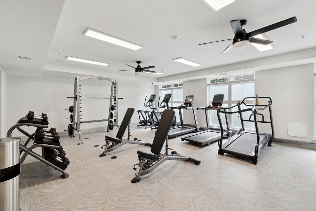 Cortland Congress Park Image