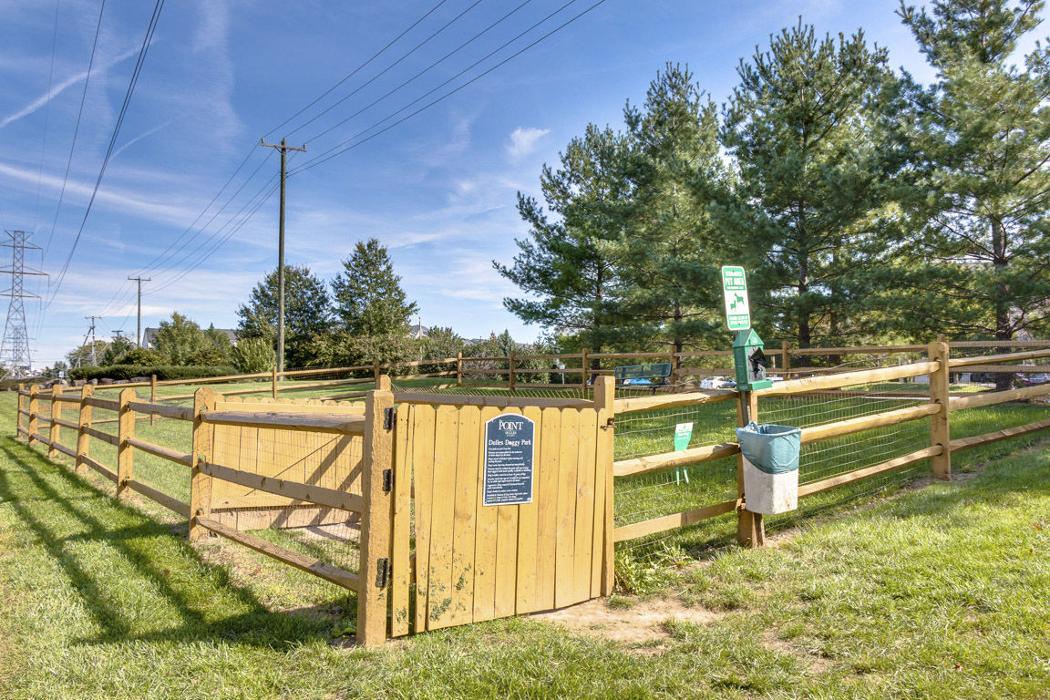 Cortland at Dulles Image