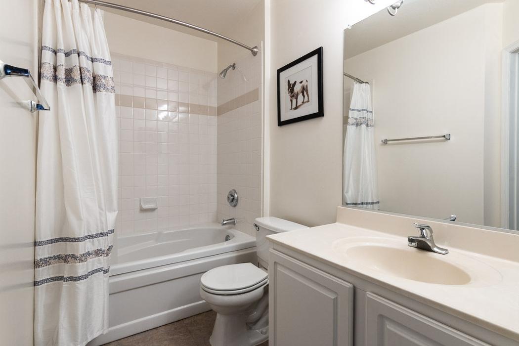 Cortland at Dulles Image