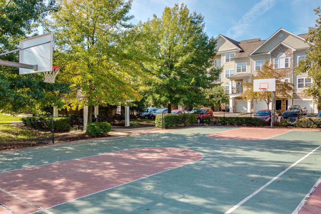 Cortland at Dulles Image