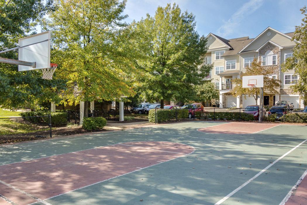 Cortland at Dulles Image