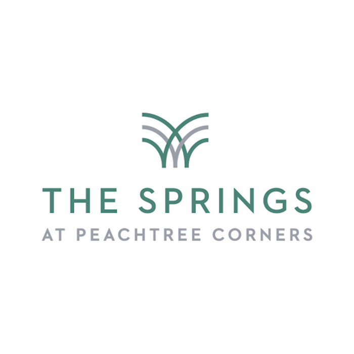 The Springs at Peachtree Corners Image
