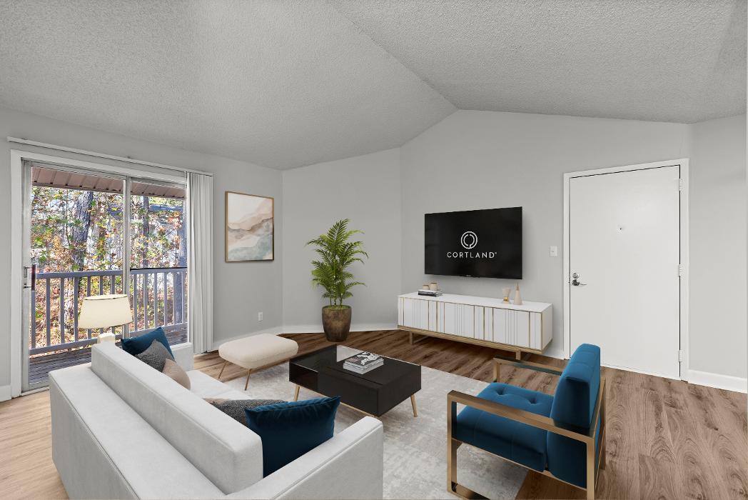 The Springs at Peachtree Corners Image