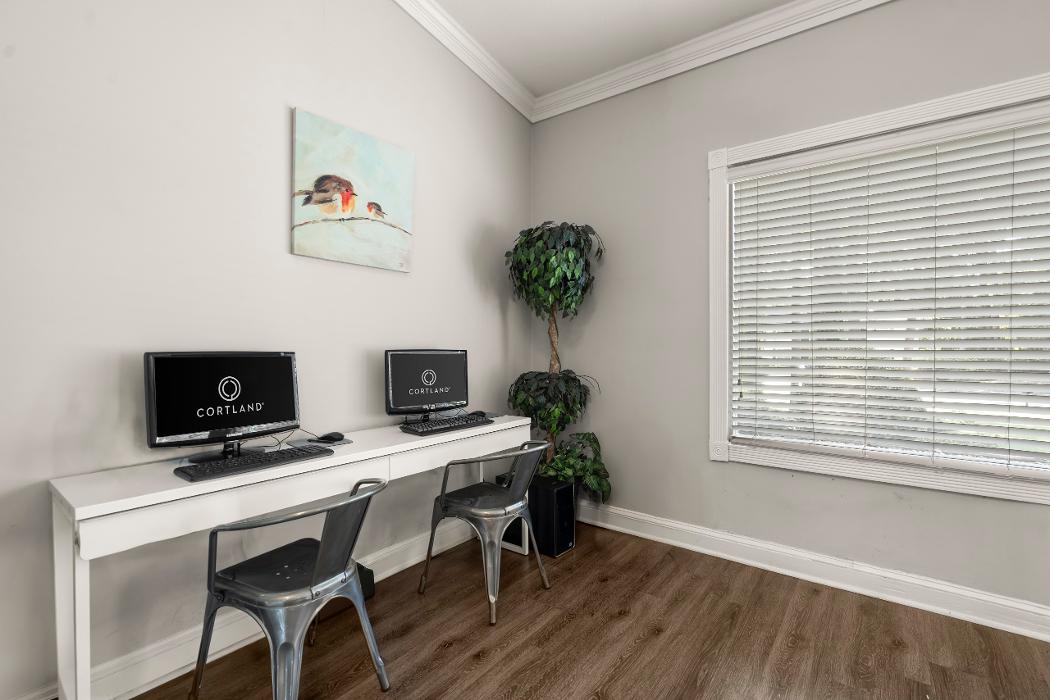 The Springs at Peachtree Corners Image