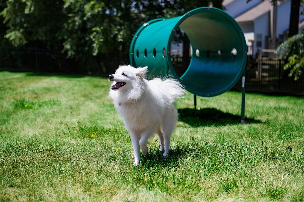 Lake's Edge by Cortland Image