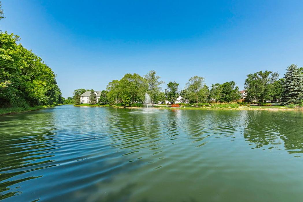 Lake's Edge by Cortland Image