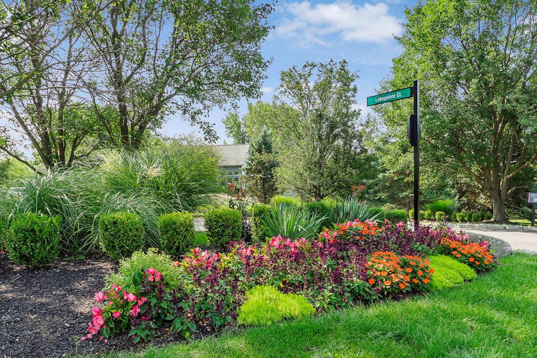 Lake's Edge by Cortland Image