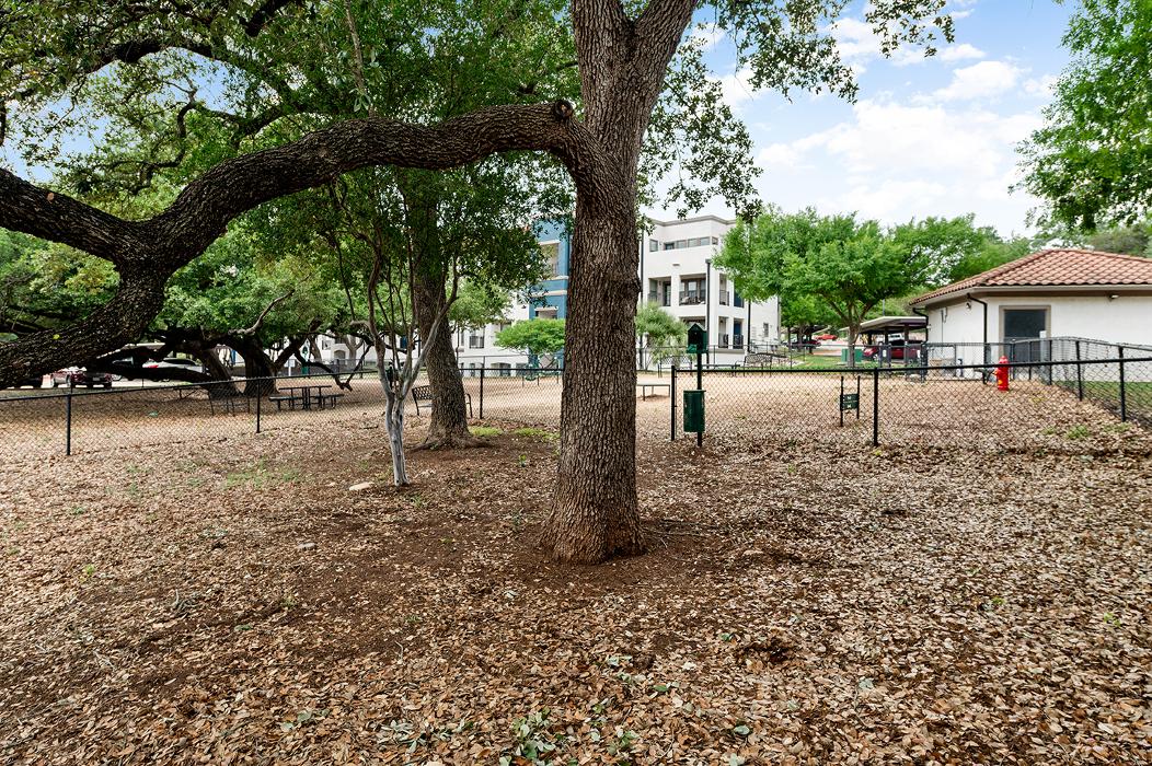 Paseo at Bee Cave by Cortland Image