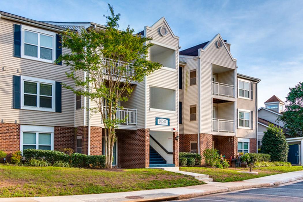 Cortland Manassas Image