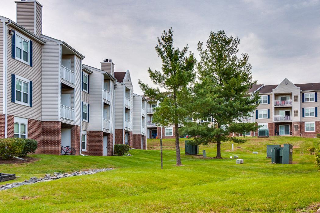 Cortland Manassas Image