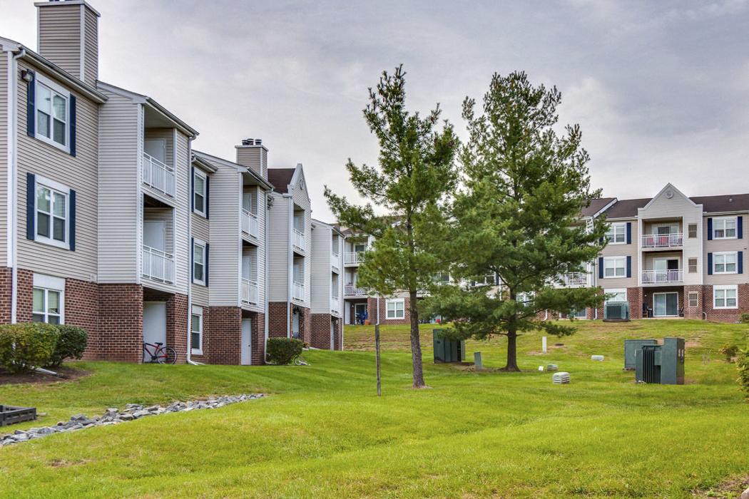 Cortland Manassas Image