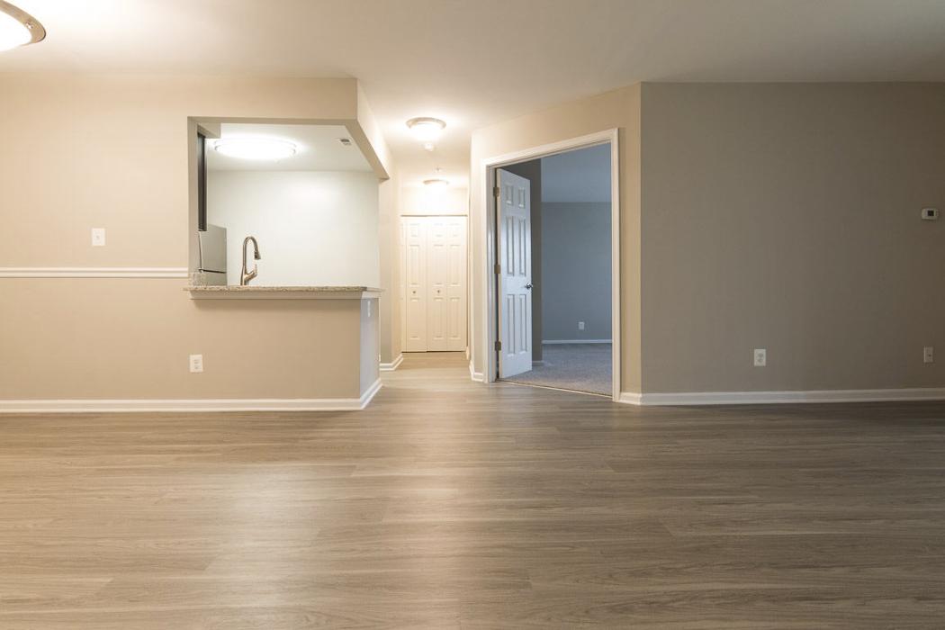 Cortland Manassas Image