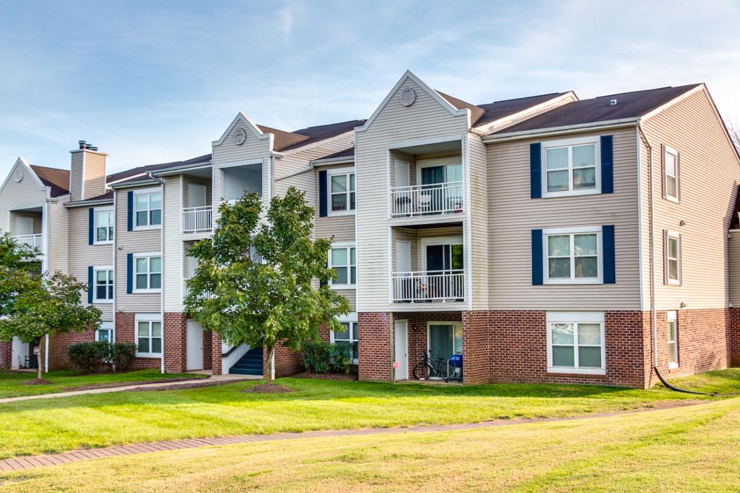 Cortland Manassas Image