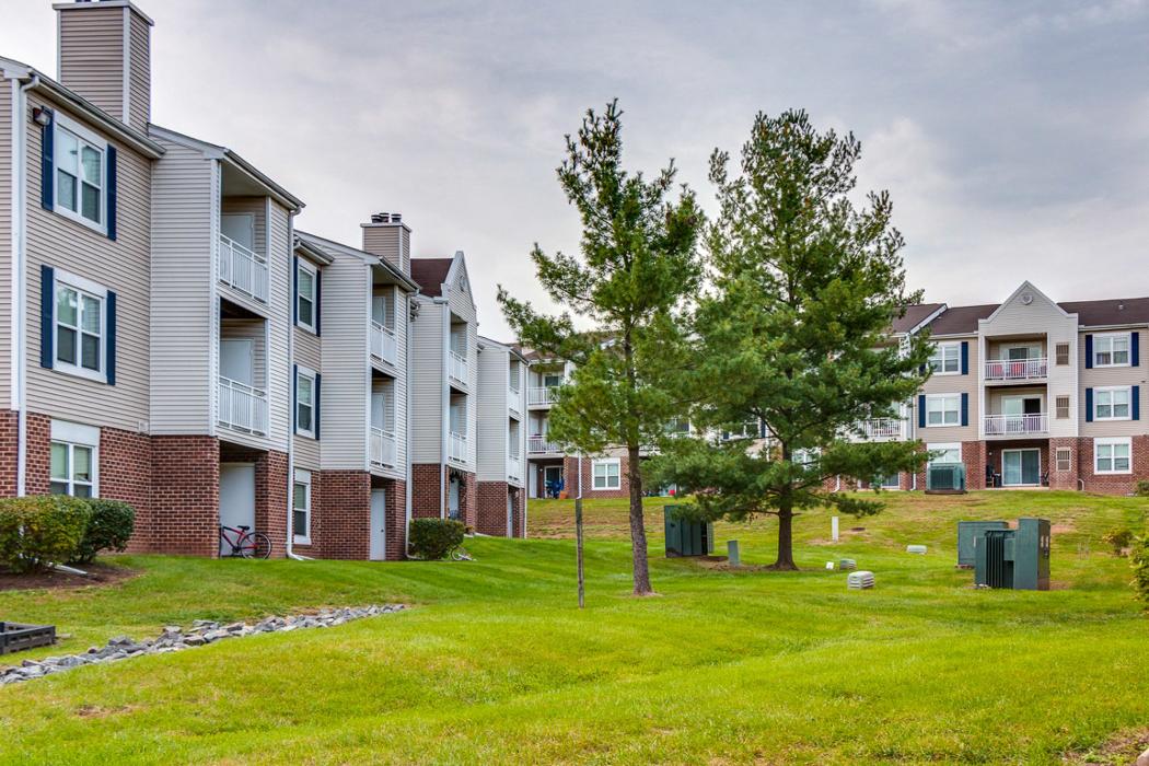 Cortland Manassas Image