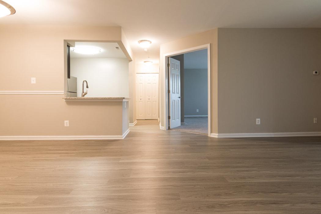 Cortland Manassas Image