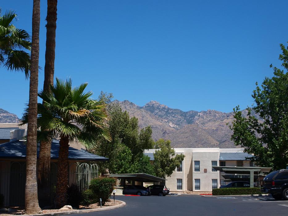 Cortland Sabino Canyon Image