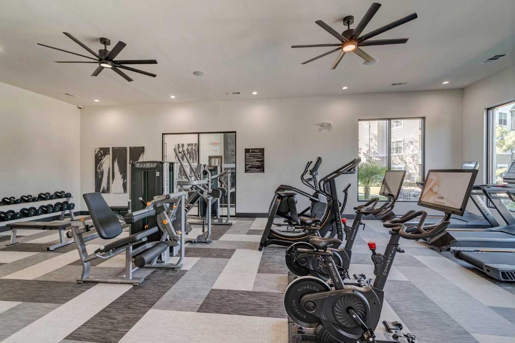 Cortland Bear Creek Image