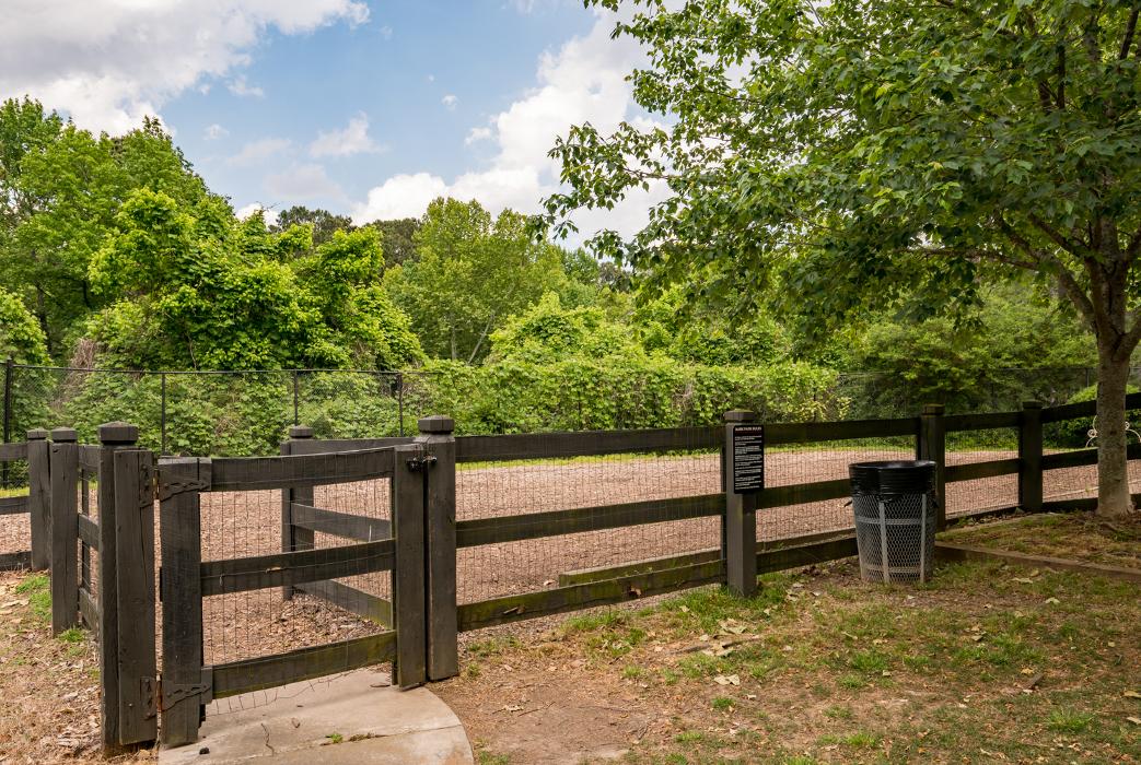 Cortland Druid Hills Image