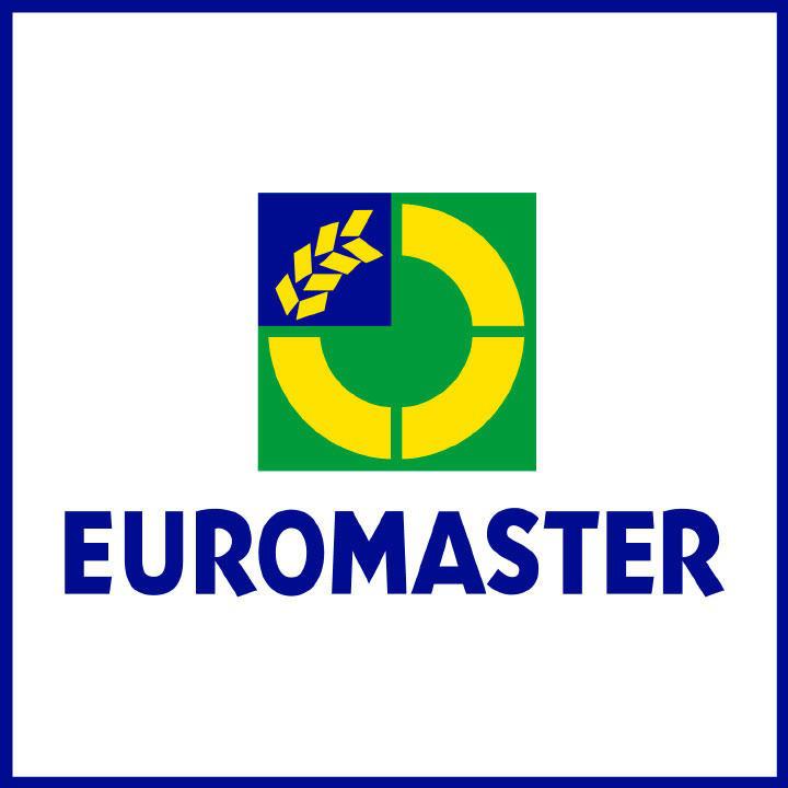 Euromaster KR AUTO - Conflans-Sainte-Honorine