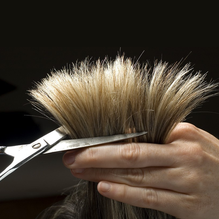 Kilian & friends, Zähringer Straße in Freiburg im Breisgau