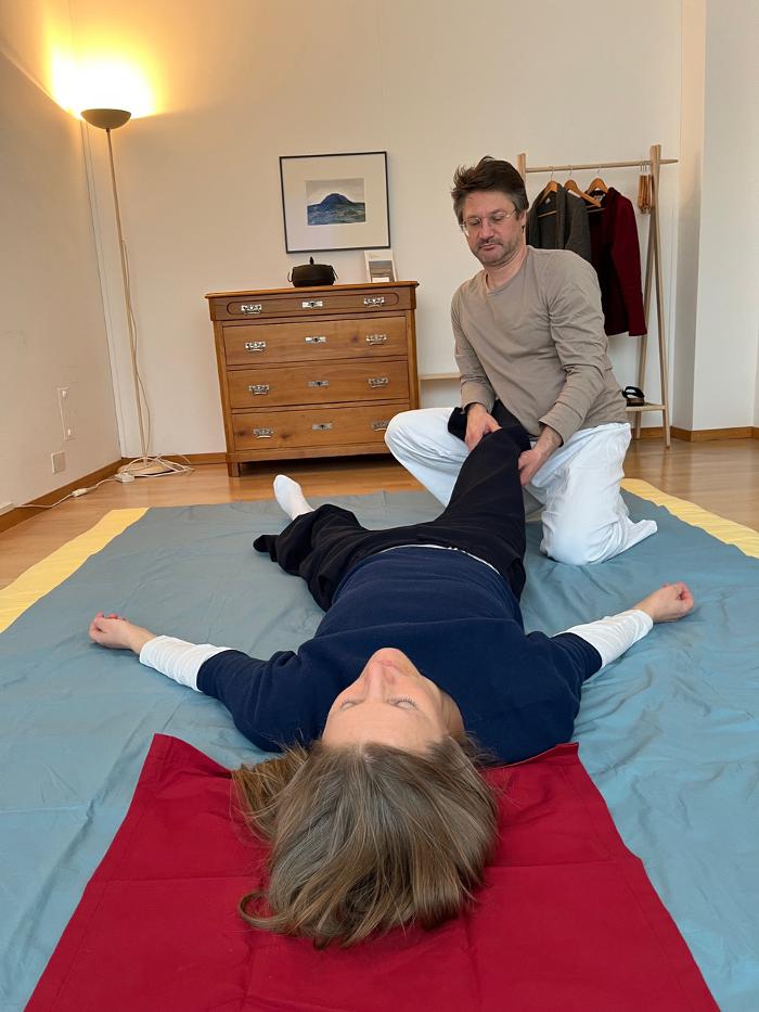 Praxis für Shiatsu Florian Schwander, Schaffhauserstrasse in Zürich