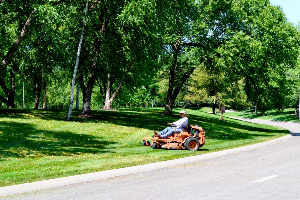 Signature Landscape Image